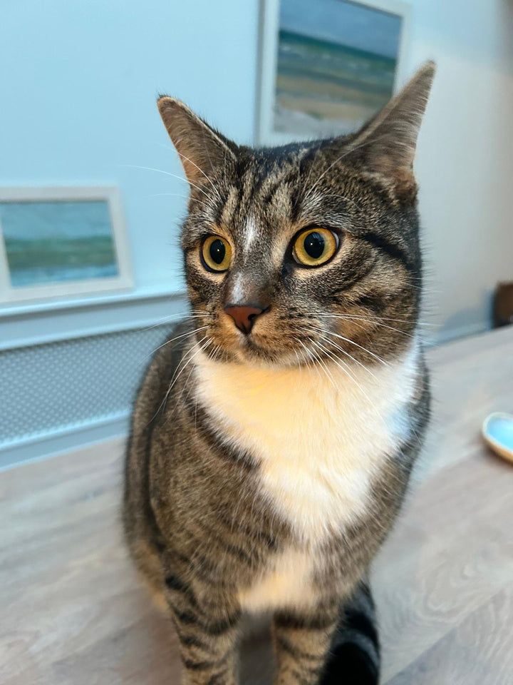 Leo