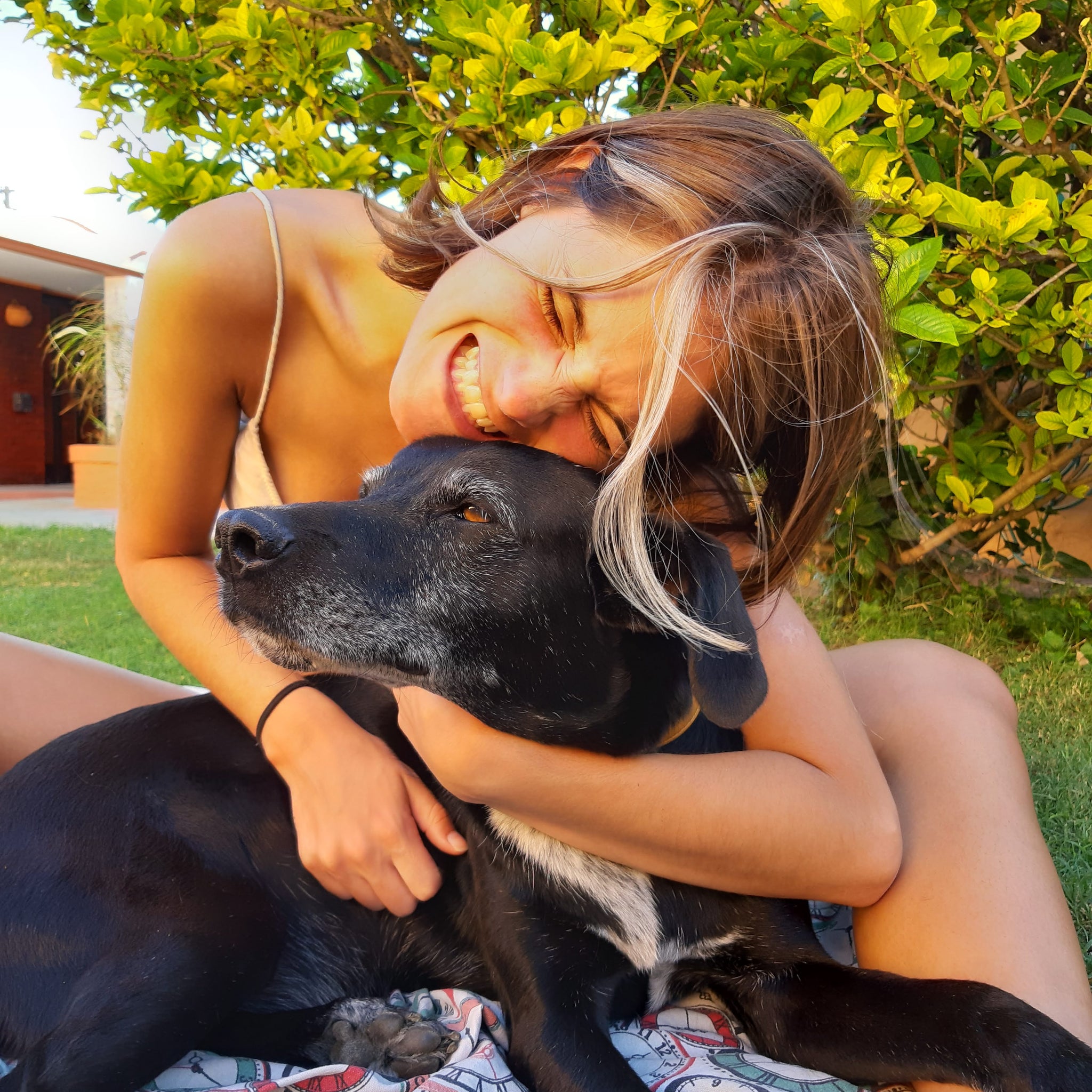 A cute black dog being hugged by his owner outside in the sun