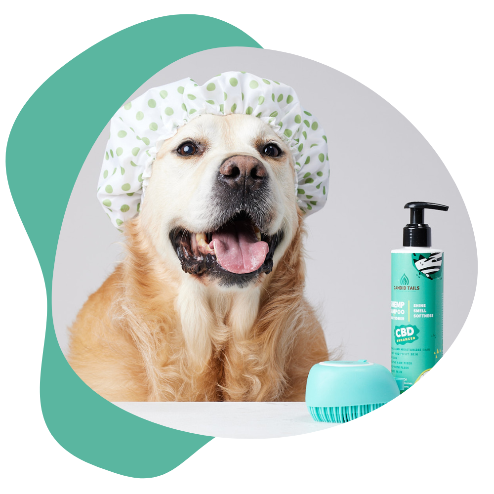 Our dog shampoo online