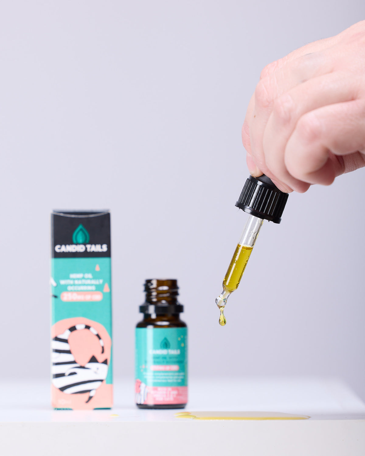 A close-up studio shot of Candid Tails Hemp Oil for cats. A hand holds a glass dropper filled with golden oil, with a single drop falling toward a small puddle on a white surface. In the background, the teal and pink product box and the small amber glass bottle are visible. The packaging features a stylized black-and-white cat illustration and notes the presence of 250mg of CBD, emphasizing a clean and precise delivery method for feline wellness supplements.