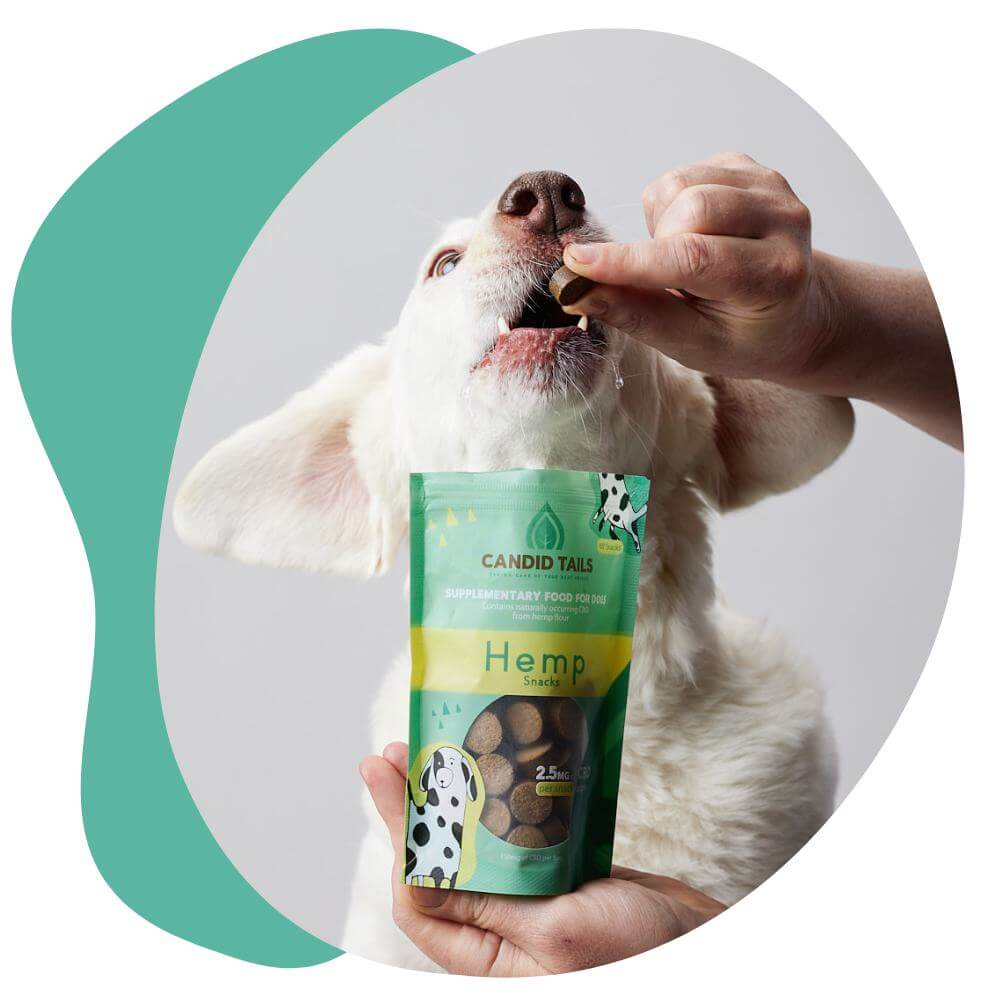 Pet Hemp products with natural CBD content for joint support – CandidTails