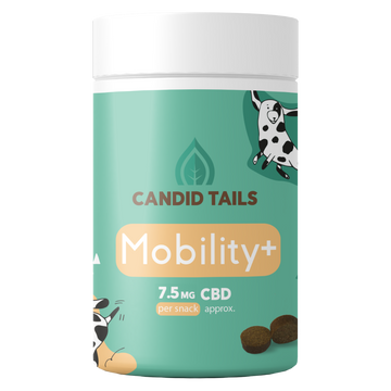 Mobility+ Dog Snacks - 150gr