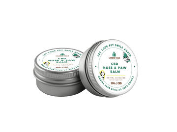 CBD Balm for Pets